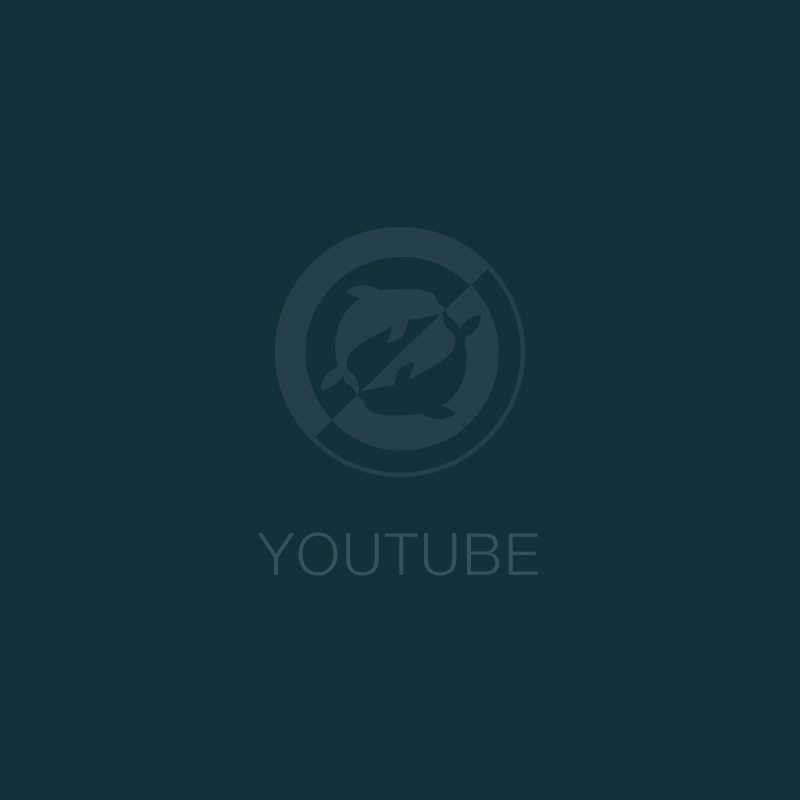 motion_cb_youtube